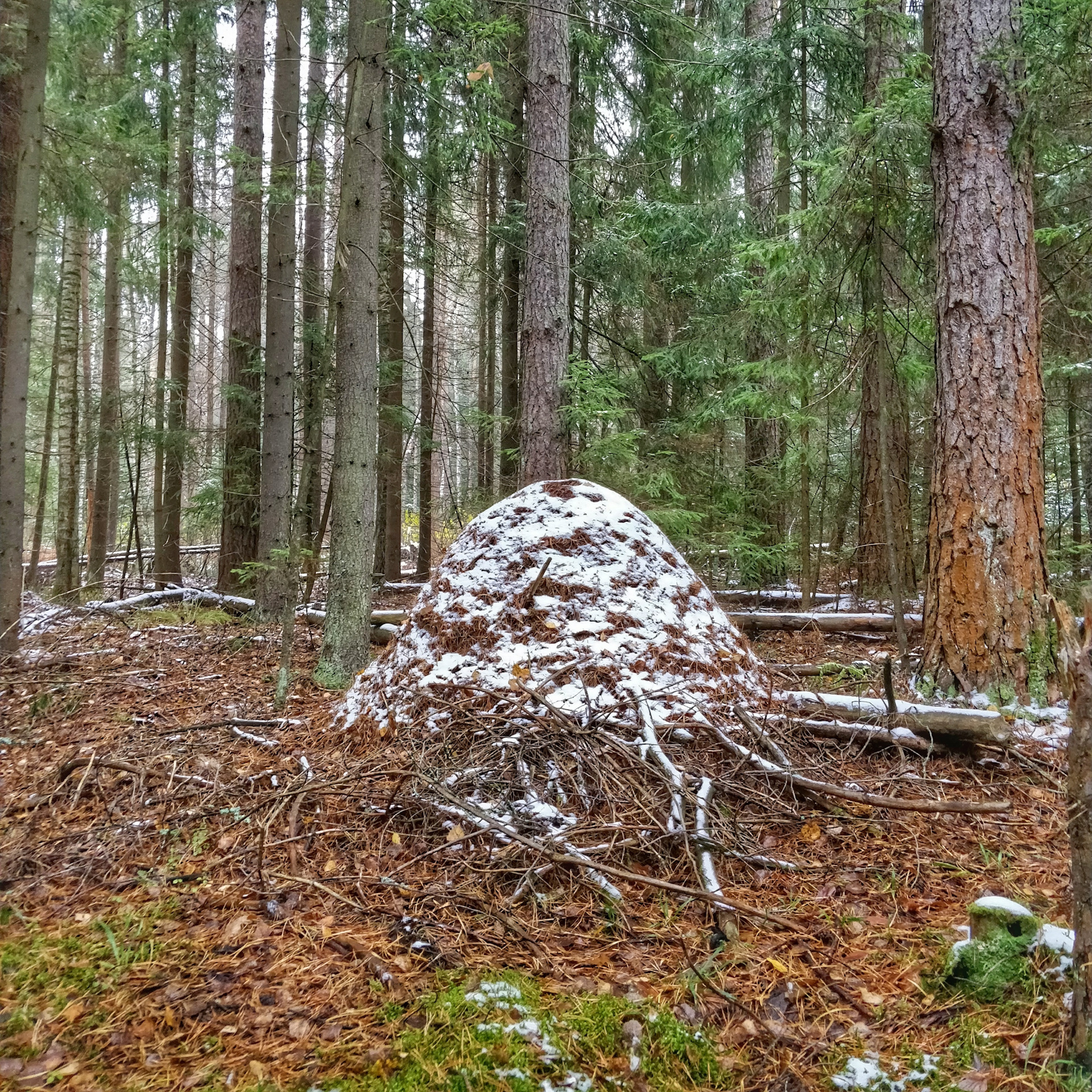 Камень шатура