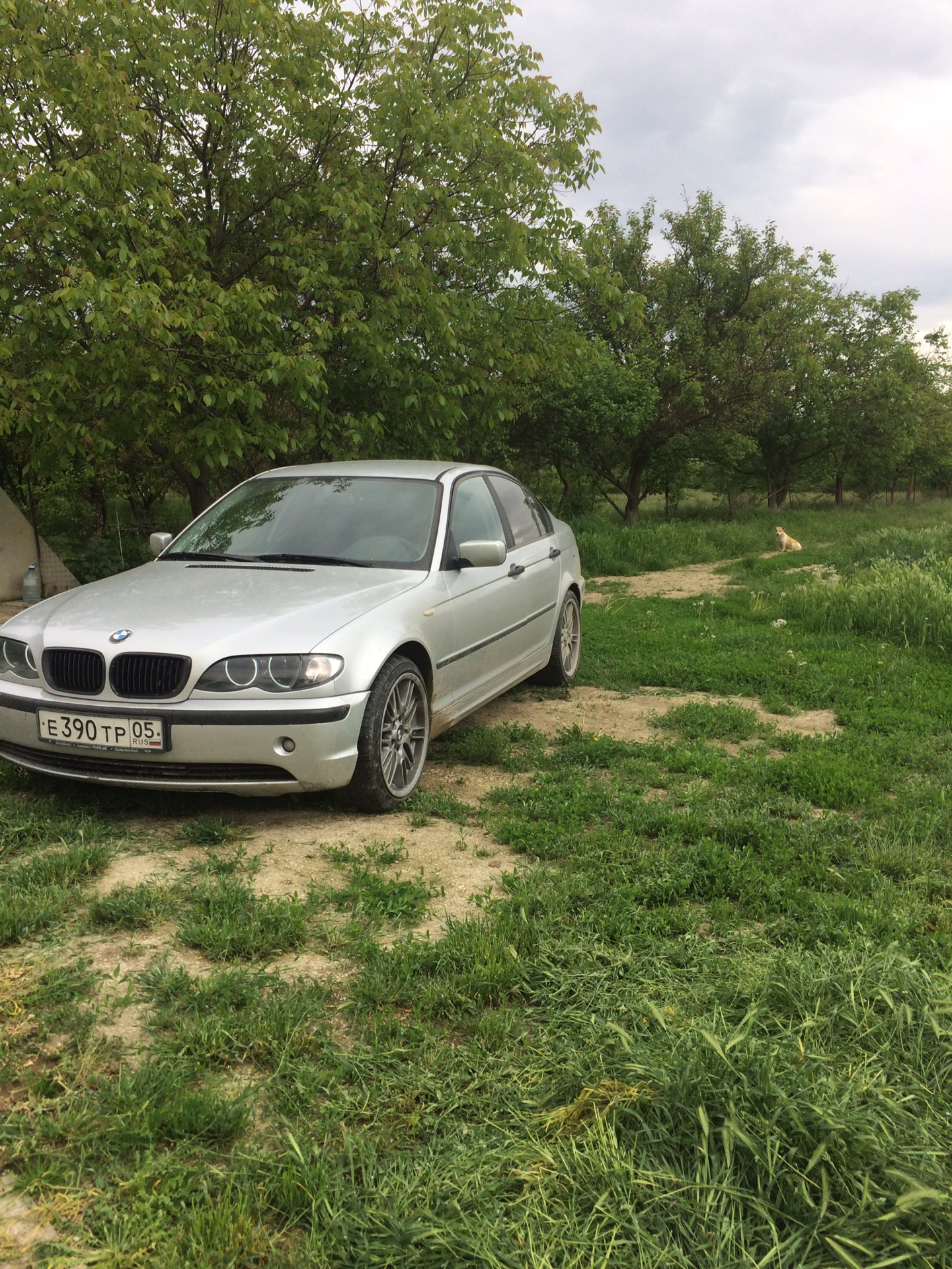 бмв в селе араблинское. бмв 5 на природе. бма на селе. село бмв. Bmw z4 301.