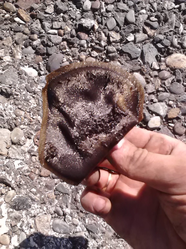 Замена фильтра топливного насоса — Lada Калина хэтчбек, 1,6 л, 2007 ...