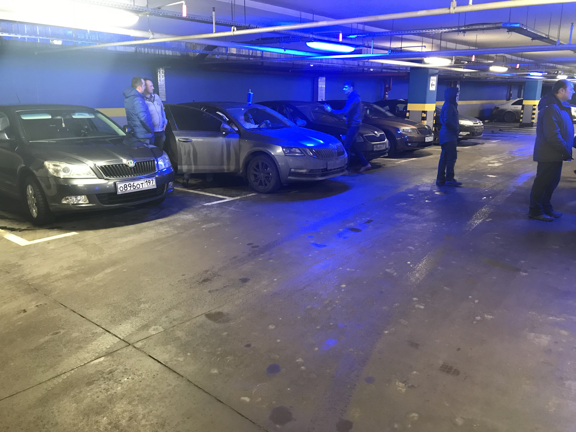 ������� ���� ���