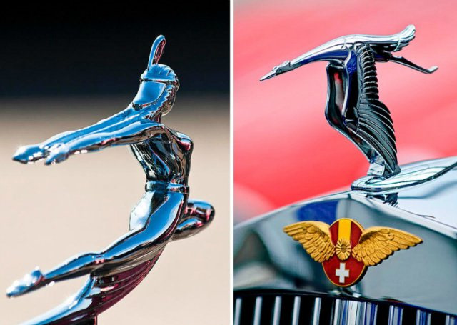 Птица очень понравилась — GAZ 31105