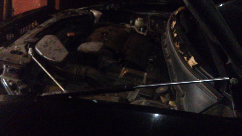 Газовые стойки в капот — Mitsubishi Outlander XL, 2 л, 2011 года ...