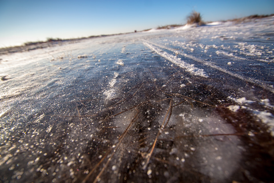 Десятки квадратных километров льда, в котором среди белых пузырьков застыла болотная трава, листики, какая-то живность. — Toyota Land Cruiser Prado 90-series
