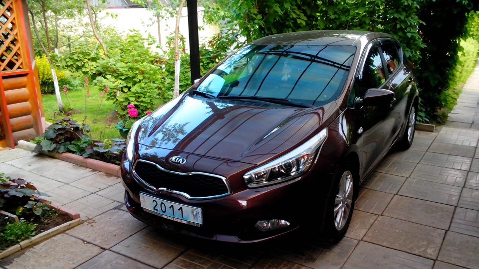газовые упоры капота киа сид 2013 — KIA Ceed (2G), 1,6 л, 2013 года ...