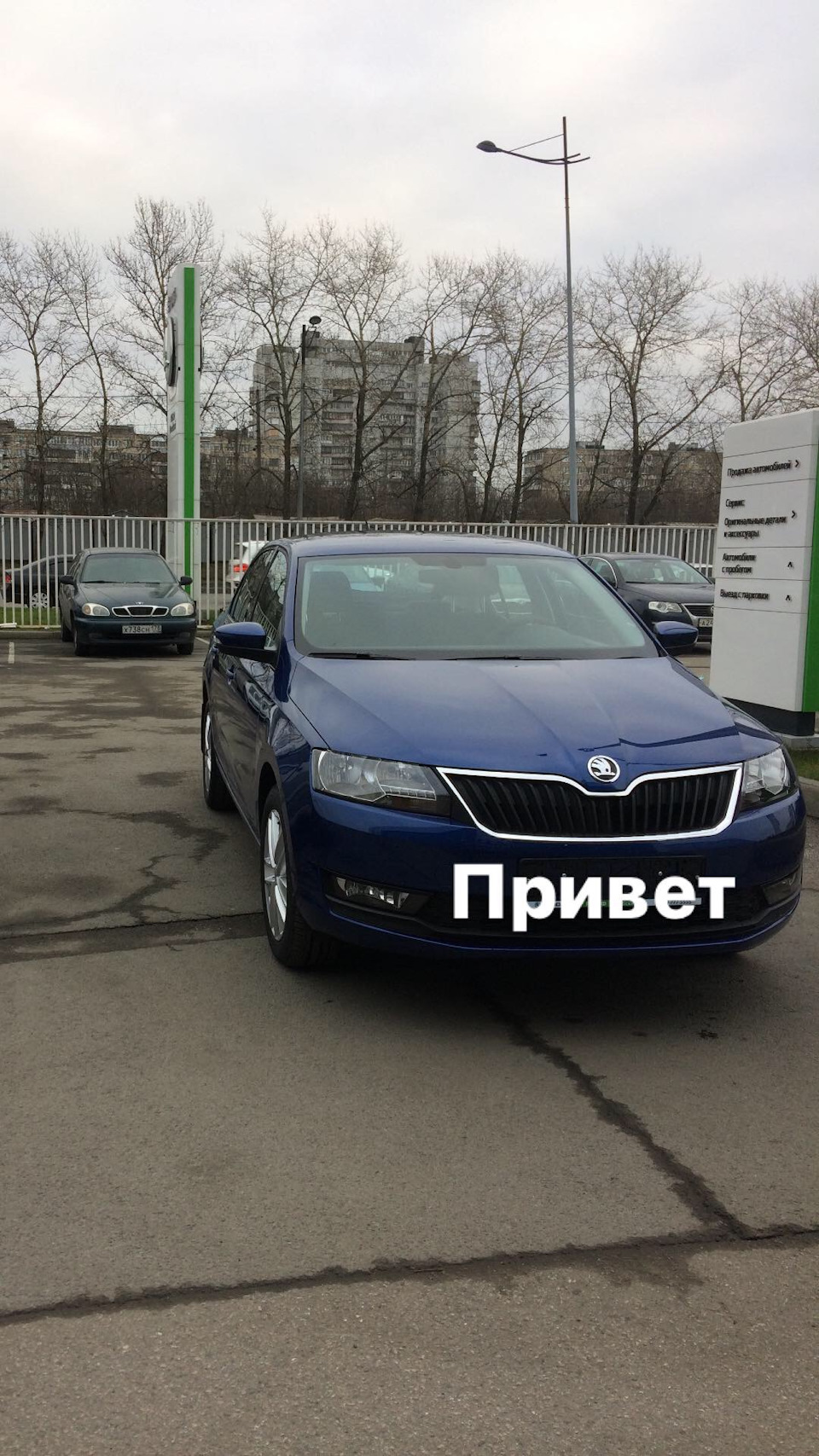 Как я выбрал именно Рапид — Skoda Rapid (1G), 1,6 л, 2017 года | покупка  машины | DRIVE2