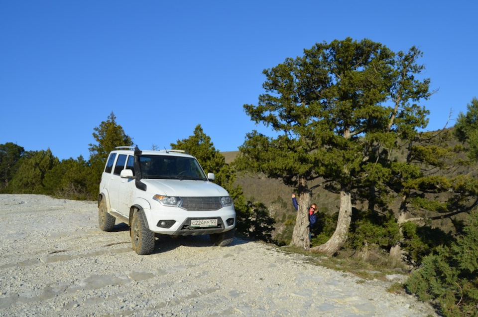 Фото в бортжурнале УАЗ Patriot