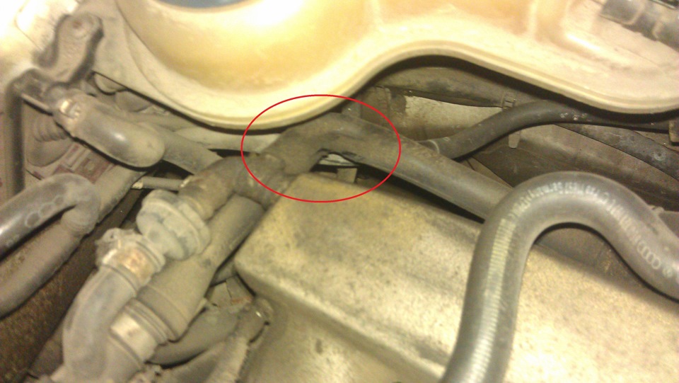 Первостепенные задачи. — Volkswagen Passat B5, 1,8 л, 2002 года визит