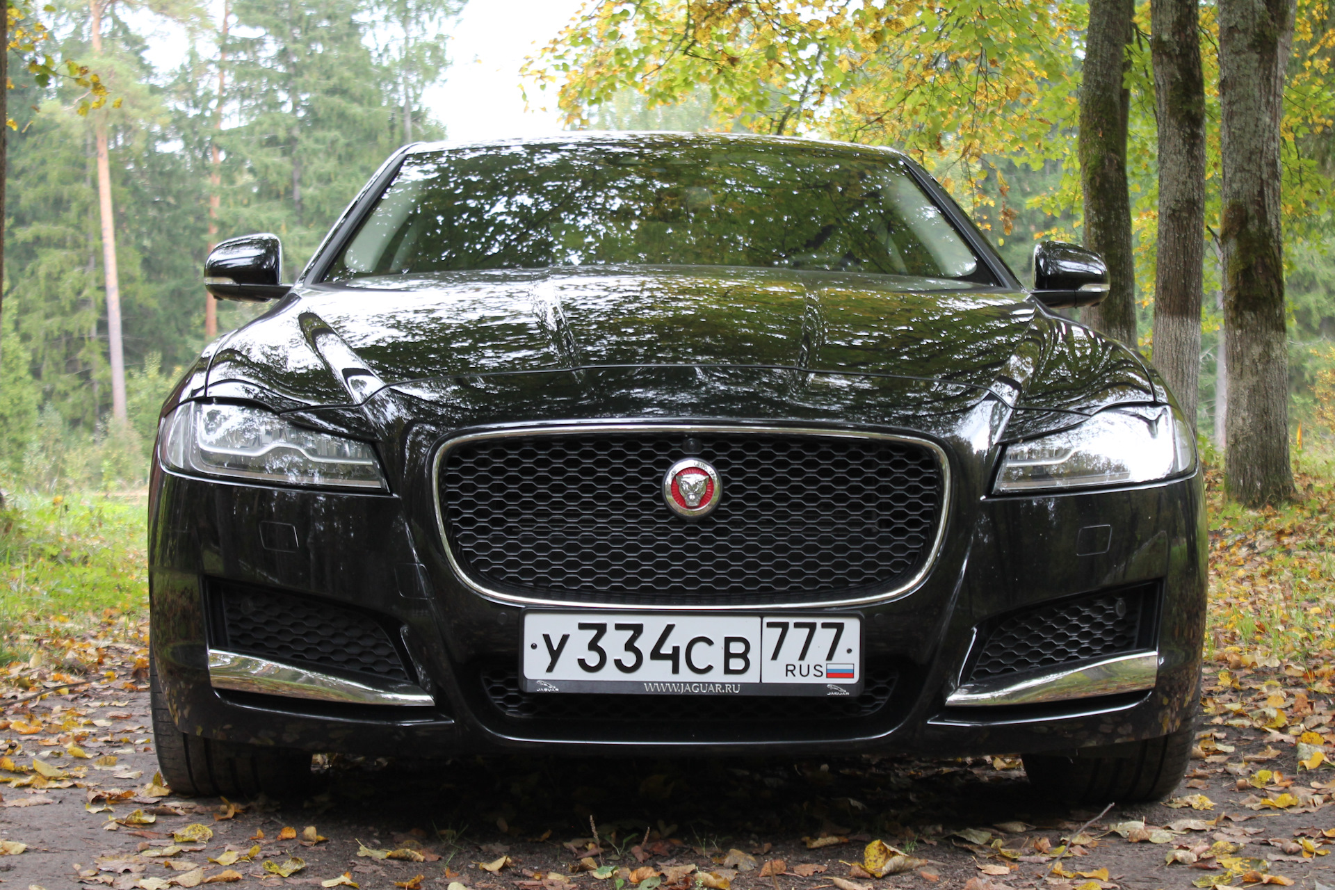 Jaguar XF антихром