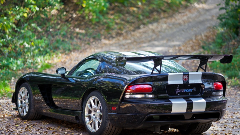 Dodge Viper SRT10 Raceport