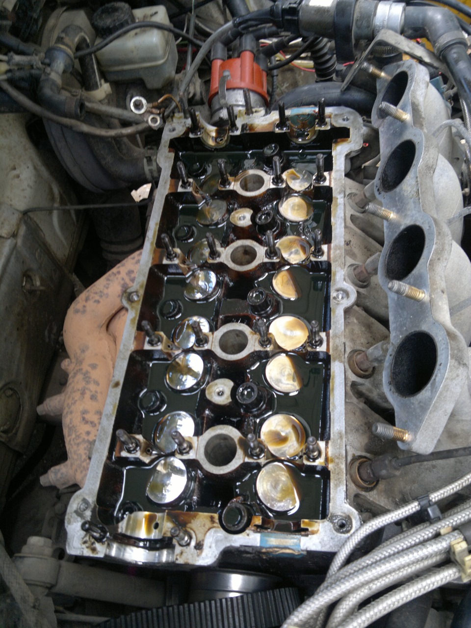 Очередное ТО + замена МСК и гидрокомпенсаторов - Volkswagen Golf Mk5, 1,6 л, 200