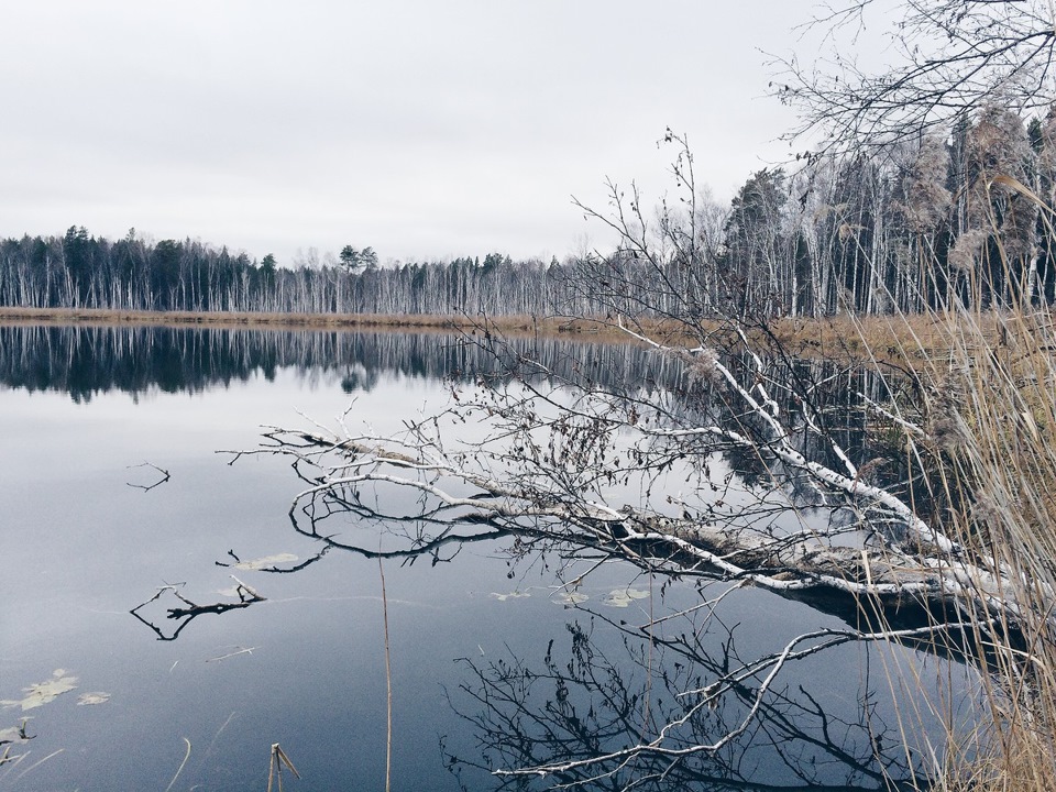 Озеро глубокое владимир фото