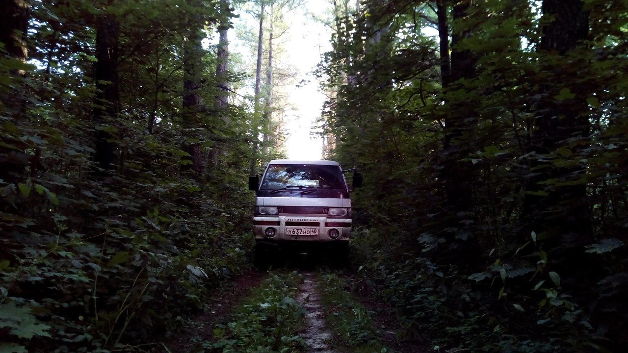 Mitsubishi Delica (P35W) 2.5 дизельный 1999 | Трактор на DRIVE2