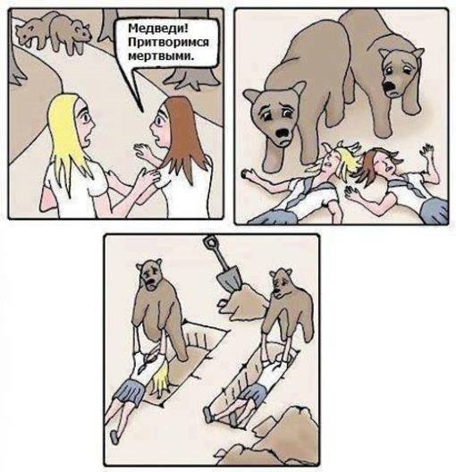 Мем девочка от медведя