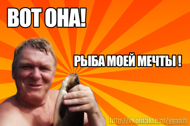 Ты рыба моей мечты гифка
