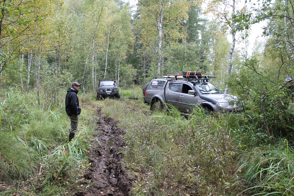 Погода дер стрельчиха тверская область