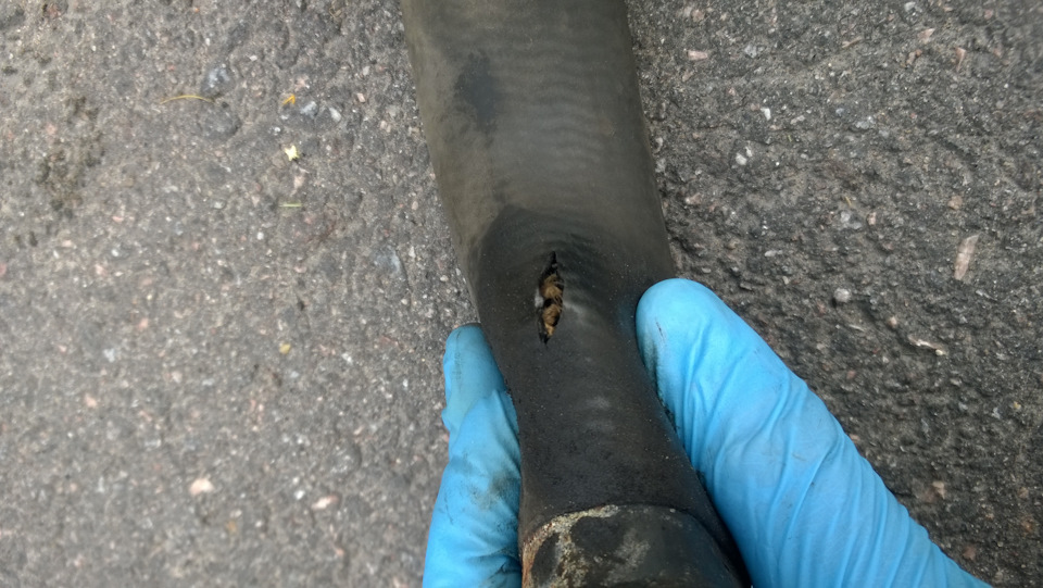 Лопнул нижний патрубок радиатора. — Volvo 850, 2,5 л, 1995 года ...