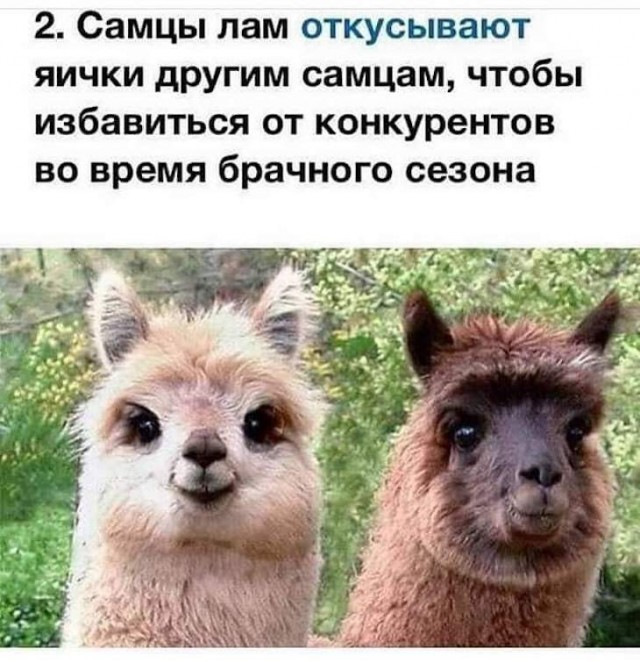 Подборка разного - Сообщество "Позитивов ☺ зы" на DRIVE2