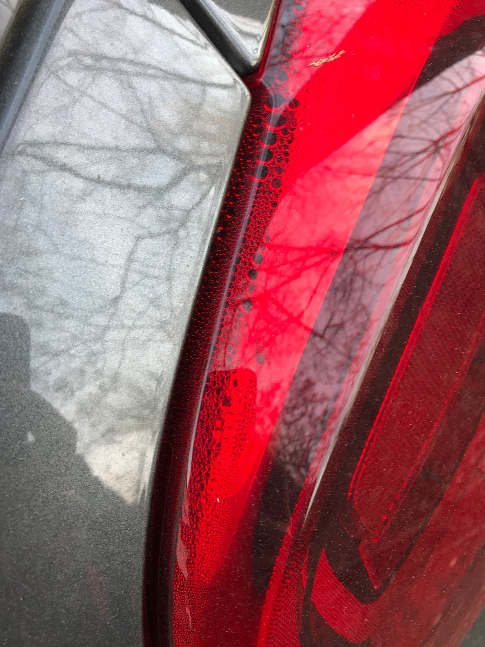 Запотевание задних фонарей (детская болезнь С3) — Citroen C3 (3G), 1,2 ...