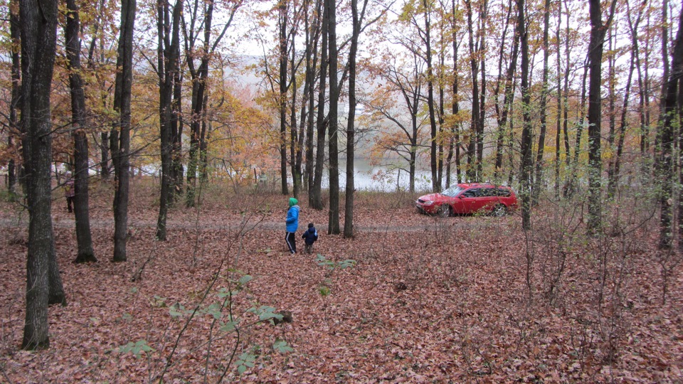 мои гуляют — Ford Mondeo III