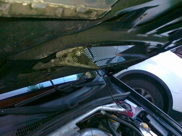 Фото в бортжурнале Subaru Forester (SG)