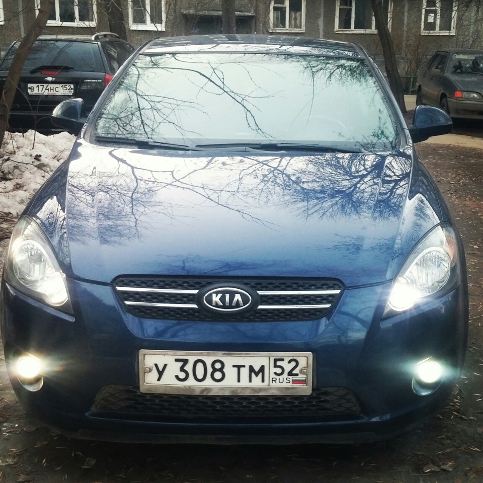 Ксенон в тумнках — KIA Ceed (1G), 1,6 л, 2008 года | аксессуары | DRIVE2