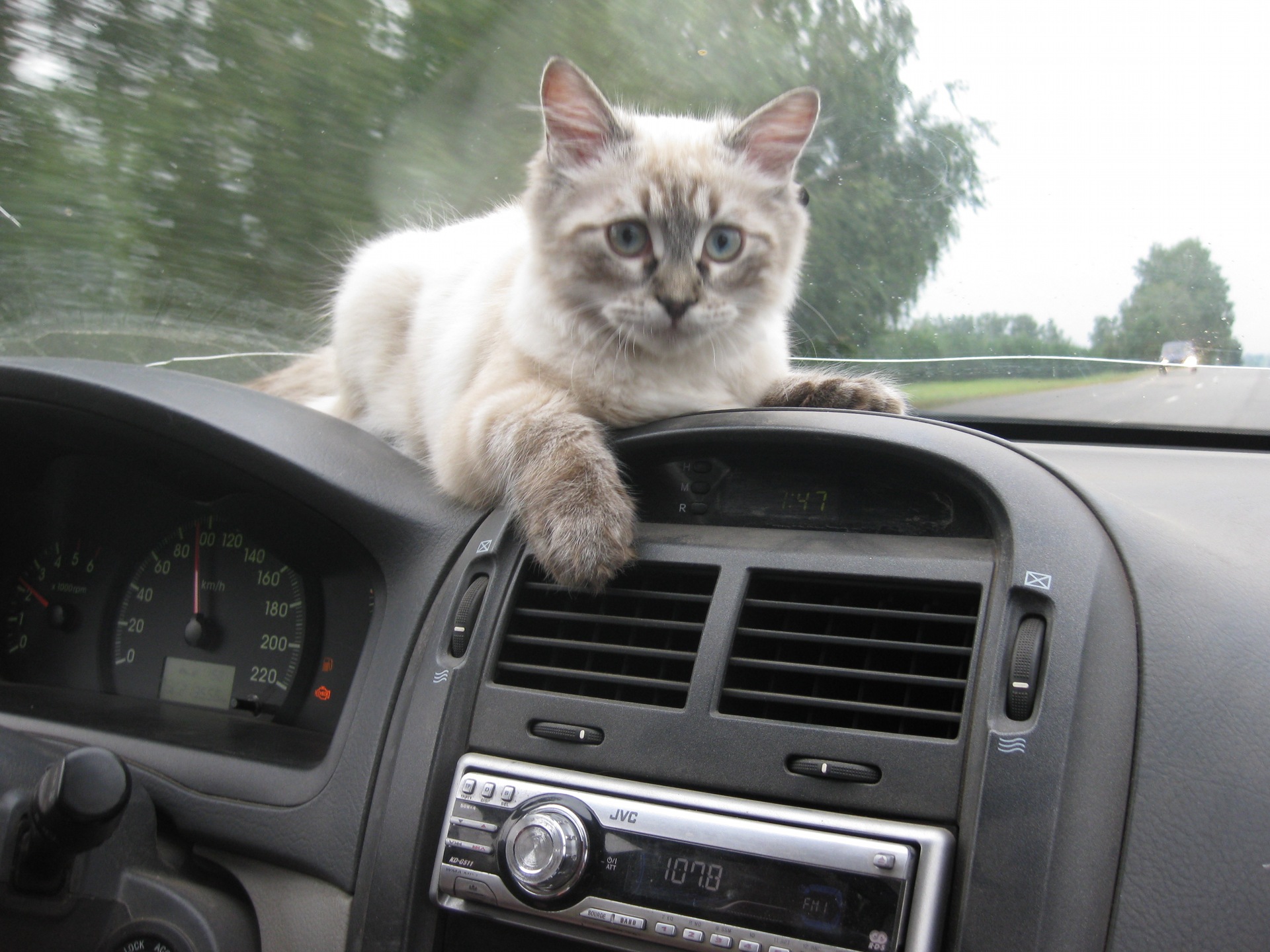 КАЗАНЬ — ТОЛЬЯТТИ — МИН.ВОДЫ — ГЕЛЕНДЖИК И ОБРАТНО — KIA Cerato (1G), 1 ...