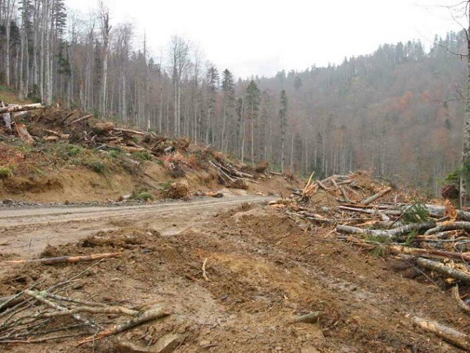 Дорога на Водопадистый