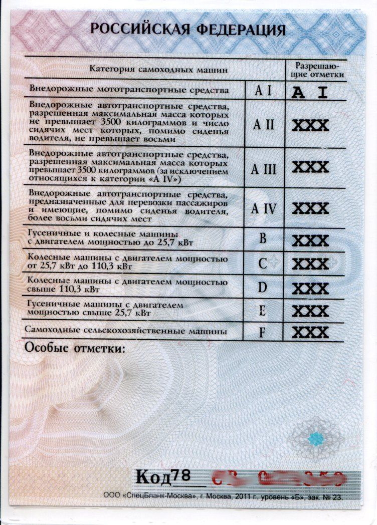 Ключевые разделы программы