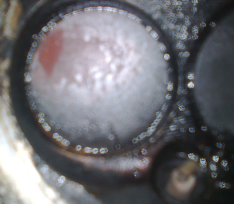 Прогорели клапана — Lada 2110, 1,5 л, 2003 года | плановое ТО | DRIVE2