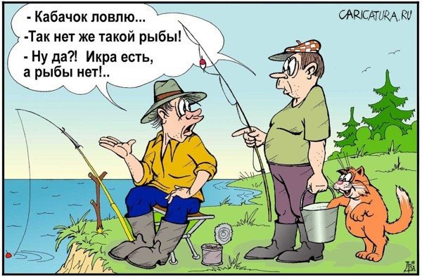 Картинки, картинка рыбалка шутка