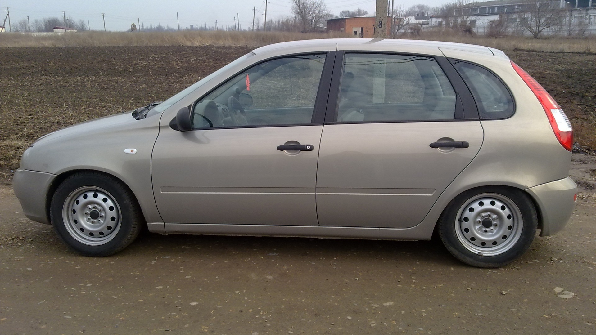 бежевая калина