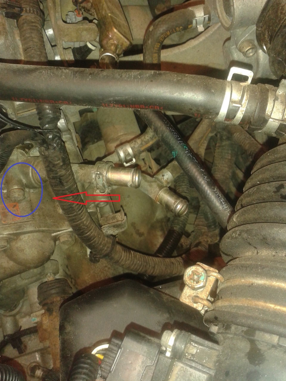 Замена антифриза — Nissan Almera Classic (B10), 1,6 л, 2007 года ...