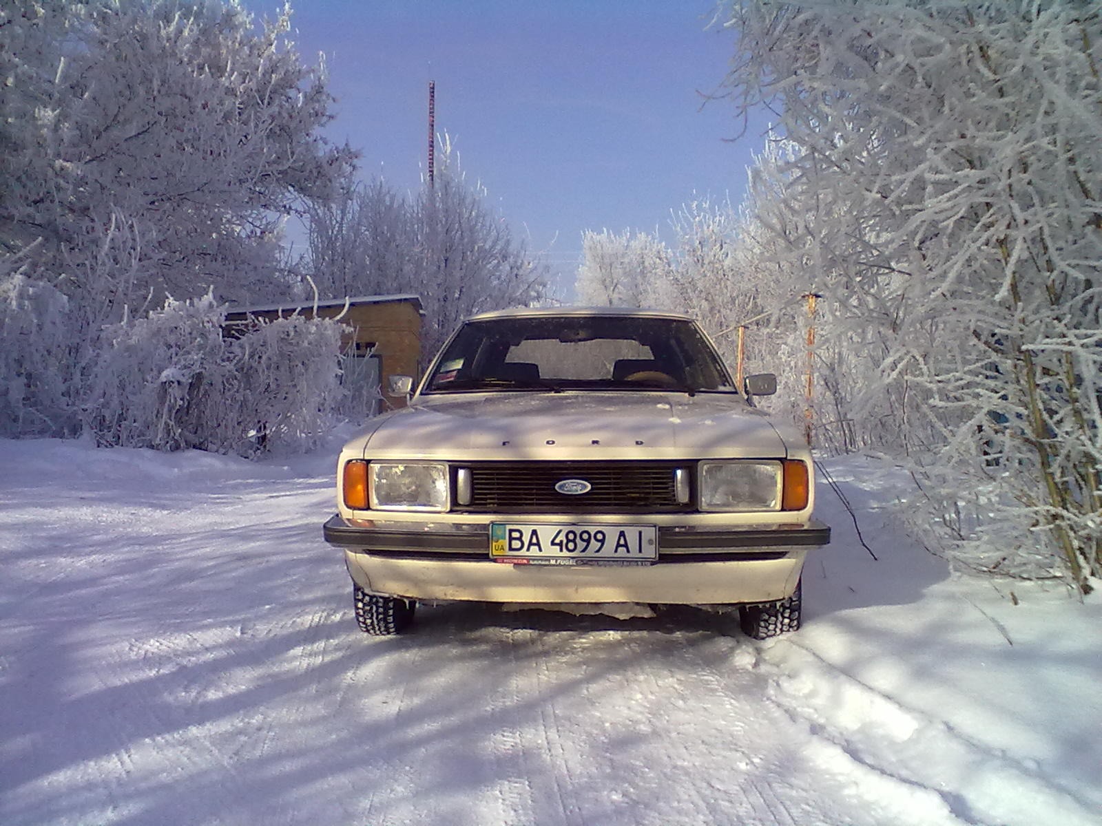 Белый! САМЫЙ модный нынче цвет! — Сообщество «Белые автомобили (White Cars  Club)» на DRIVE2