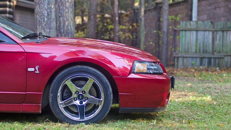 Ford Mustang Svt Cobra Terminator Drive2