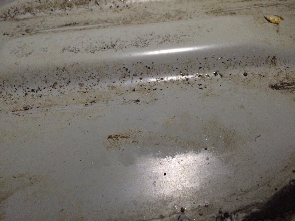 Влага под водительским ковриком — Suzuki Grand Vitara (2G), 2,4 л, 2010 ...