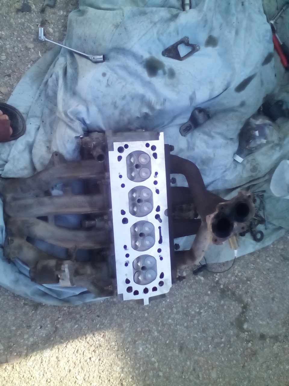 Собираем x16xel — Opel Vectra B, 1,6 л, 1998 года | своими руками | DRIVE2