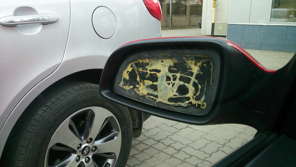 Фото в бортжурнале Opel Astra H