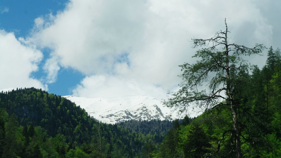 Где то в горах — Mitsubishi Pajero (2G)