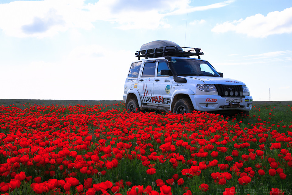 Фото в бортжурнале УАЗ Patriot