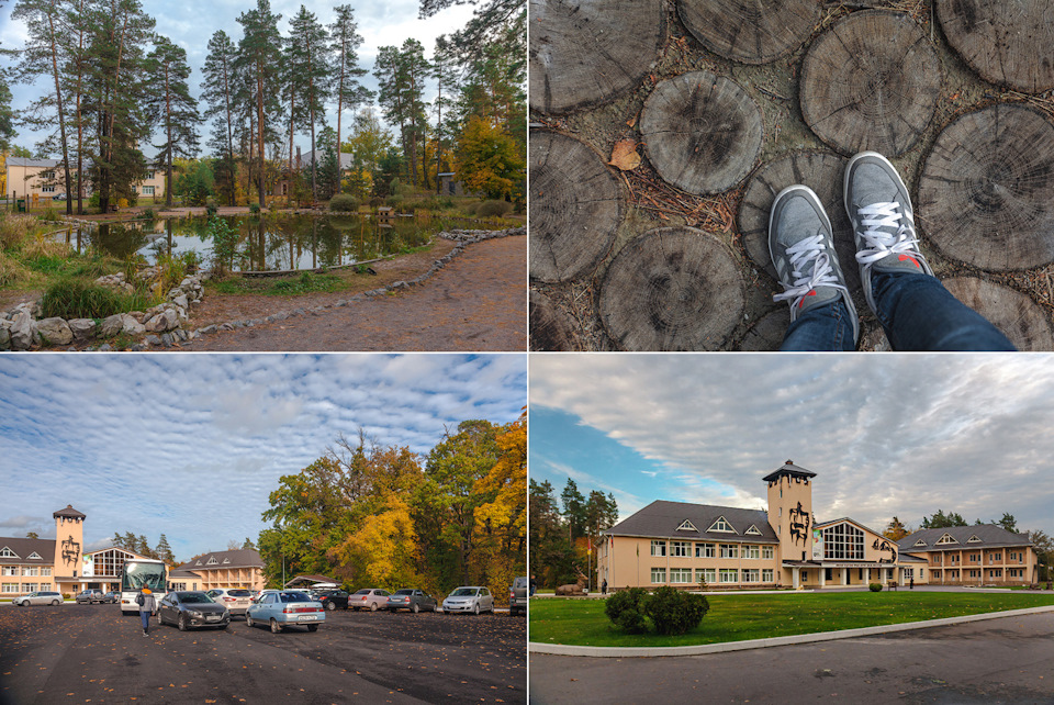 воронежский заповедник история создания. 2395945s 960. воронежский заповедник история создания фото. воронежский заповедник история создания-2395945s 960. картинка воронежский заповедник история создания. картинка 2395945s 960. Липецкая и Воронежская области воронежский заповедник история создания. 2395945s 960. воронежский заповедник история создания фото. воронежский заповедник история создания-2395945s 960. картинка воронежский заповедник история создания. картинка 2395945s 960. Липецкая и Воронежская области