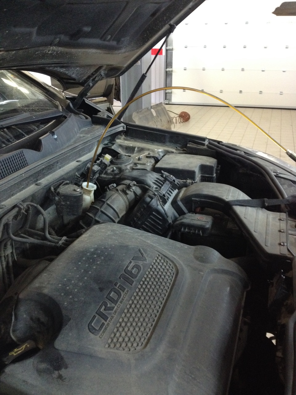 Я люблю свою лошадку, причешу ей шерстку гладко… или очередное ТО — KIA ...