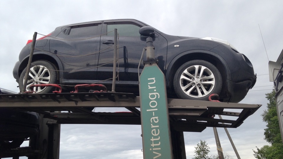 Японская сборка — Nissan Juke (1G), 1,5 л, 2011 года | наблюдение | DRIVE2