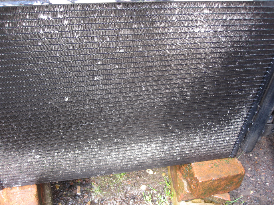 Видно как забился у нижней и верхней решеток радиатора — SEAT Leon (Mk II)