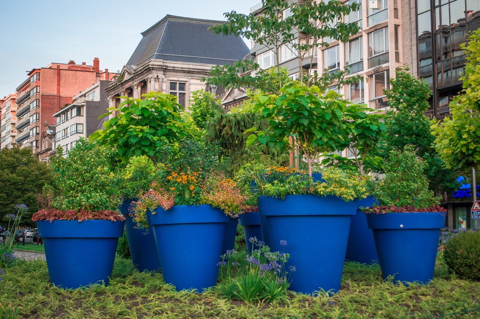 Кто-то на улицу горшки с цветами выставил, ай да хозяюшки )) — DRIVE2