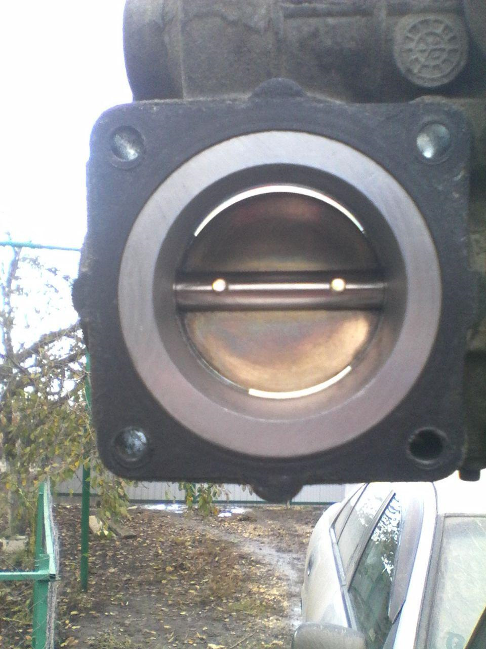 Вот он, идеал. Блестит как у кота … шерстка) — Nissan Almera II (N16)