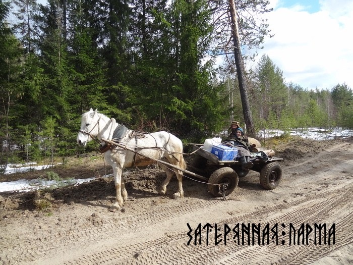 конь с телегой. телега с лошадью. деревенские телеги запряженные лошадьми. телеть. телега с лошадью.