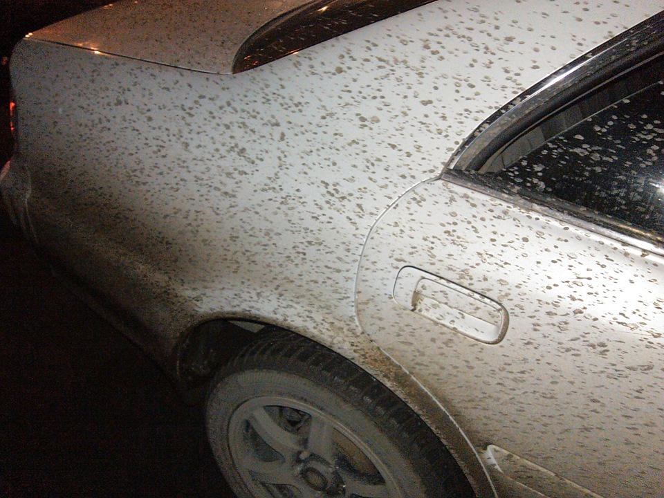 Испытание заварки — Toyota Chaser (100), 2 л, 1997 года | тюнинг | DRIVE2