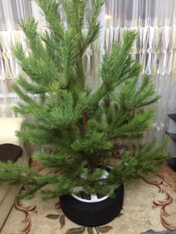 Вот и Slik-и пригодились — Lada Приора седан, 1,6 л, 2011 года | просто ...