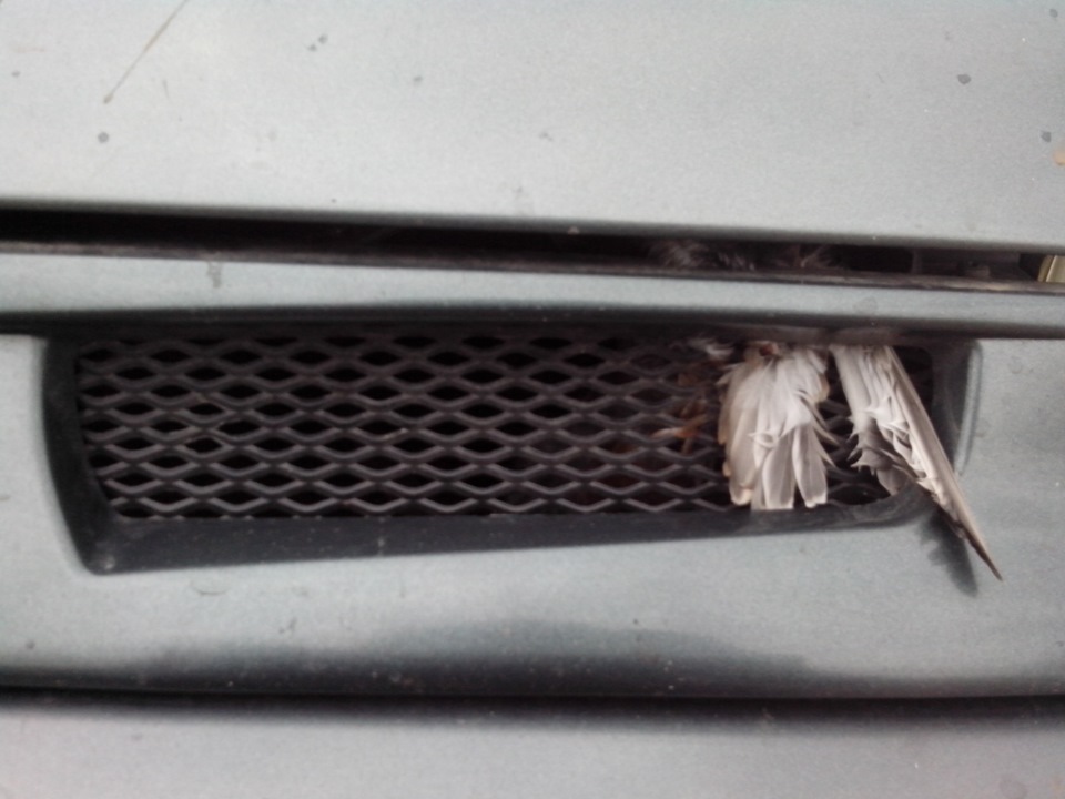 Птичку жалко, или Как Я колеса ездил балансировать — Lada 2114, 1,6 л ...