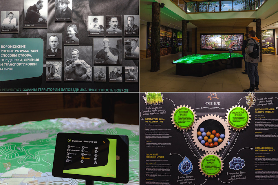 воронежский заповедник история создания. 2487d45s 960. воронежский заповедник история создания фото. воронежский заповедник история создания-2487d45s 960. картинка воронежский заповедник история создания. картинка 2487d45s 960. Липецкая и Воронежская области воронежский заповедник история создания. 2487d45s 960. воронежский заповедник история создания фото. воронежский заповедник история создания-2487d45s 960. картинка воронежский заповедник история создания. картинка 2487d45s 960. Липецкая и Воронежская области